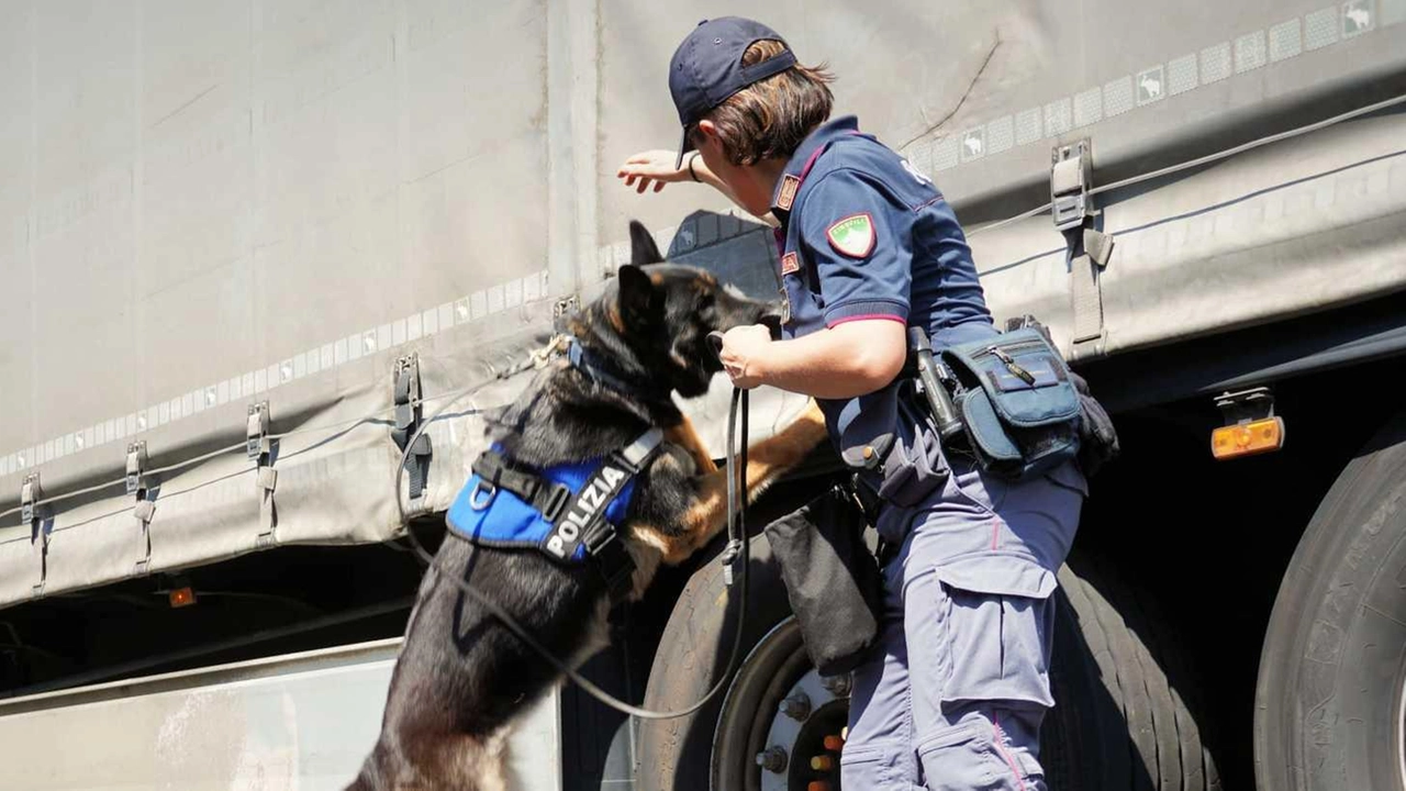 Il 49enne è stato intercettato nell’area di sosta ’Arno Ovest’ dalla polizia e portato nel carcere di Prato Il 49enne è stato intercettato nell’area di sosta ’Arno Ovest’ dalla polizia e portato nel carcere di Prato