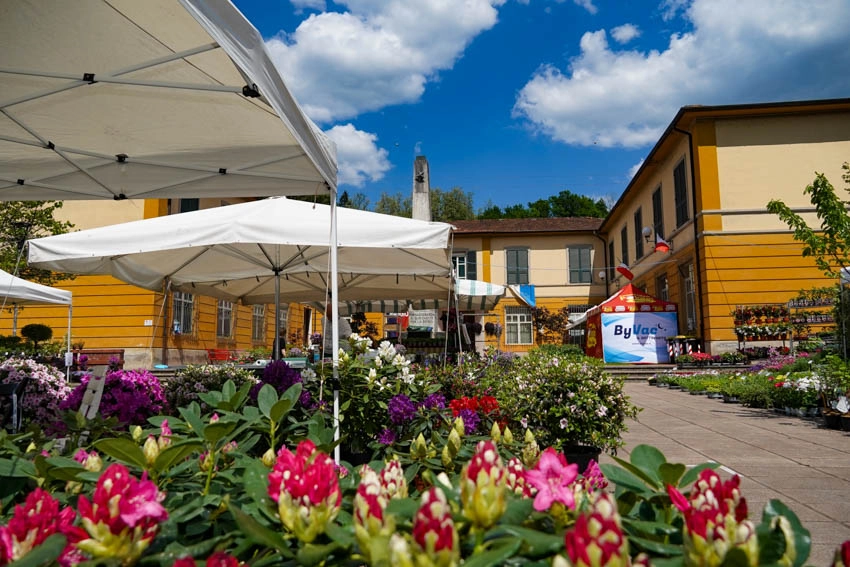 immagine di sfondo 9
