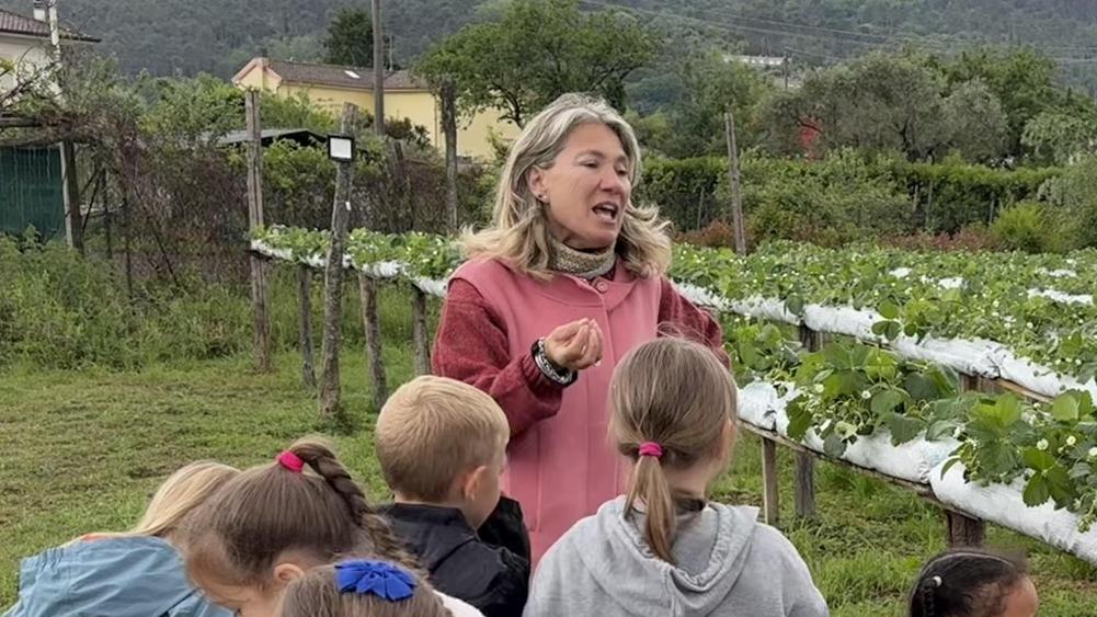 A lezione con la natura. La scoperta del fragoleto fra i tesori di Benedetta A lezione con la natura. La scoperta del fragoleto fra i tesori di Benedetta