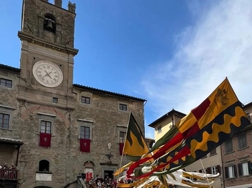 immagine articolo