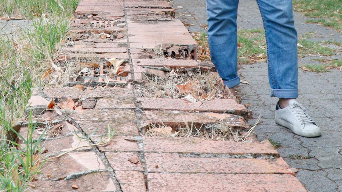 Giardini pubblici in sofferenza estiva. Si salva soltanto l’Acciaiolo Giardini pubblici in sofferenza estiva. Si salva soltanto l’Acciaiolo