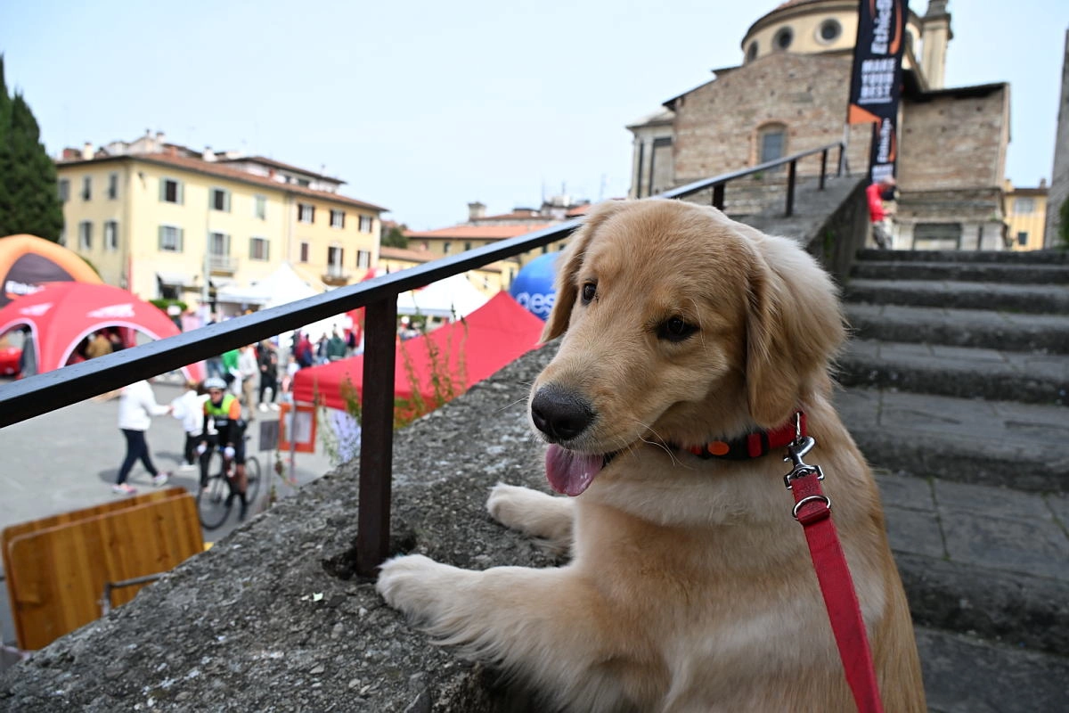 immagine di sfondo 12
