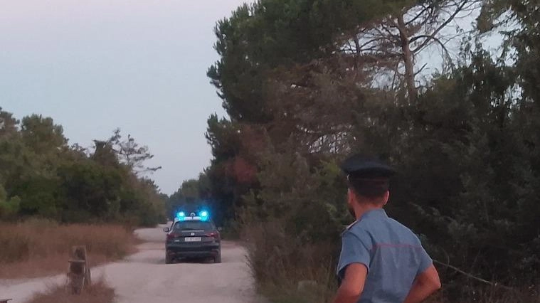 I carabinieri. nella «Macchia lucchese» I carabinieri. nella «Macchia lucchese»