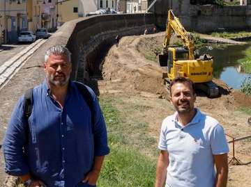 immagine articolo