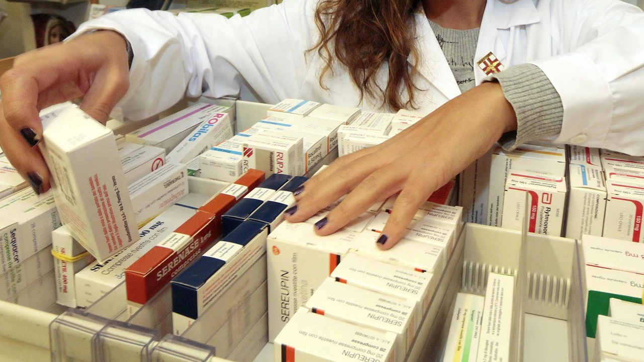 Una farmacista al lavoro (foto Germogli) Una farmacista al lavoro (foto Germogli)