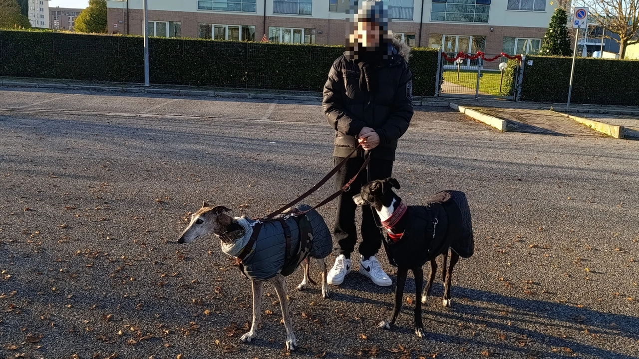 Il ragazzo di 17 anni con i suoi cani, due levrieri spagnoli adottati nel 2018