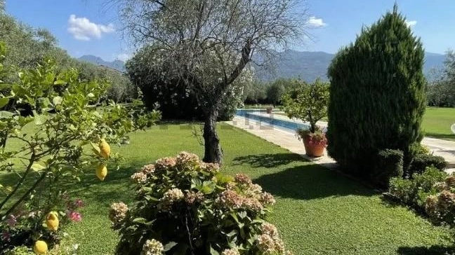 Una parte del giardino di cui è dotato il casale, con una superficie pari a 15mila quadri e una piscina. Nell’area sono presenti inoltre piante caducifoglie e 40 olivi quercetani Una parte del giardino di cui è dotato il casale, con una superficie pari a 15mila quadri e una piscina. Nell’area sono presenti inoltre piante caducifoglie e 40 olivi quercetani