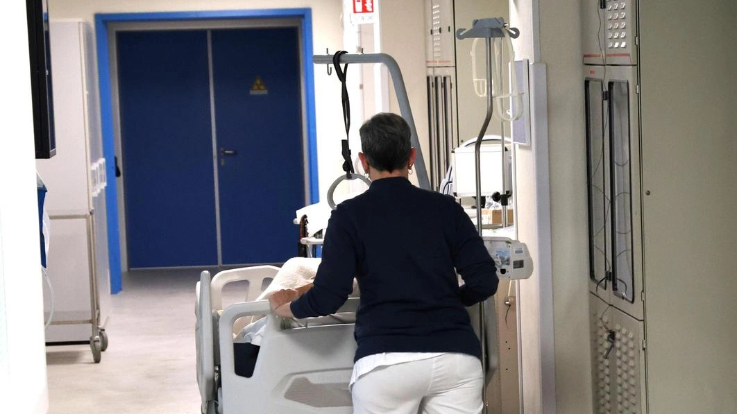 Il giovane lavoratore è stato trasportato al Pronto soccorso dell'ospedale di Lucca (Foto di repertorio)