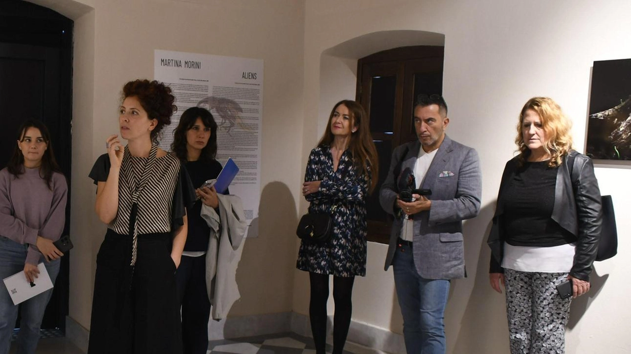 Sabato 18 gennaio alle 17 nella project room del Mudac |inaugura la mostra ‘Over Ultra’ di Sara Grandi e Flavia... Sabato 18 gennaio alle 17 nella project room del Mudac |inaugura la mostra ‘Over Ultra’ di Sara Grandi e Flavia...