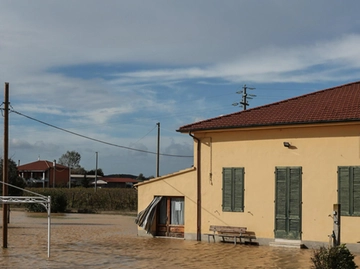 immagine articolo