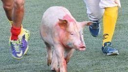 Un’edizione passata Un’edizione passata
