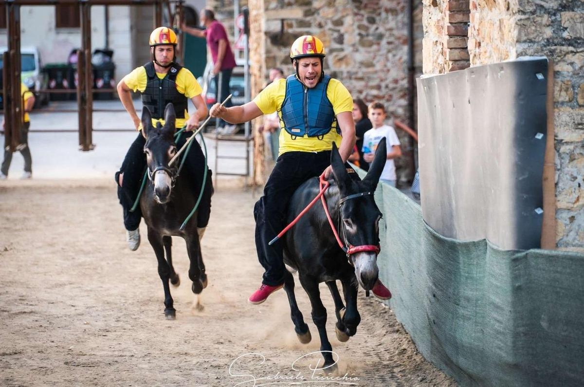 A Campagnatico è tempo di Palio. Sfida tra quattro contrade. Parte la caccia a Santa Maria
