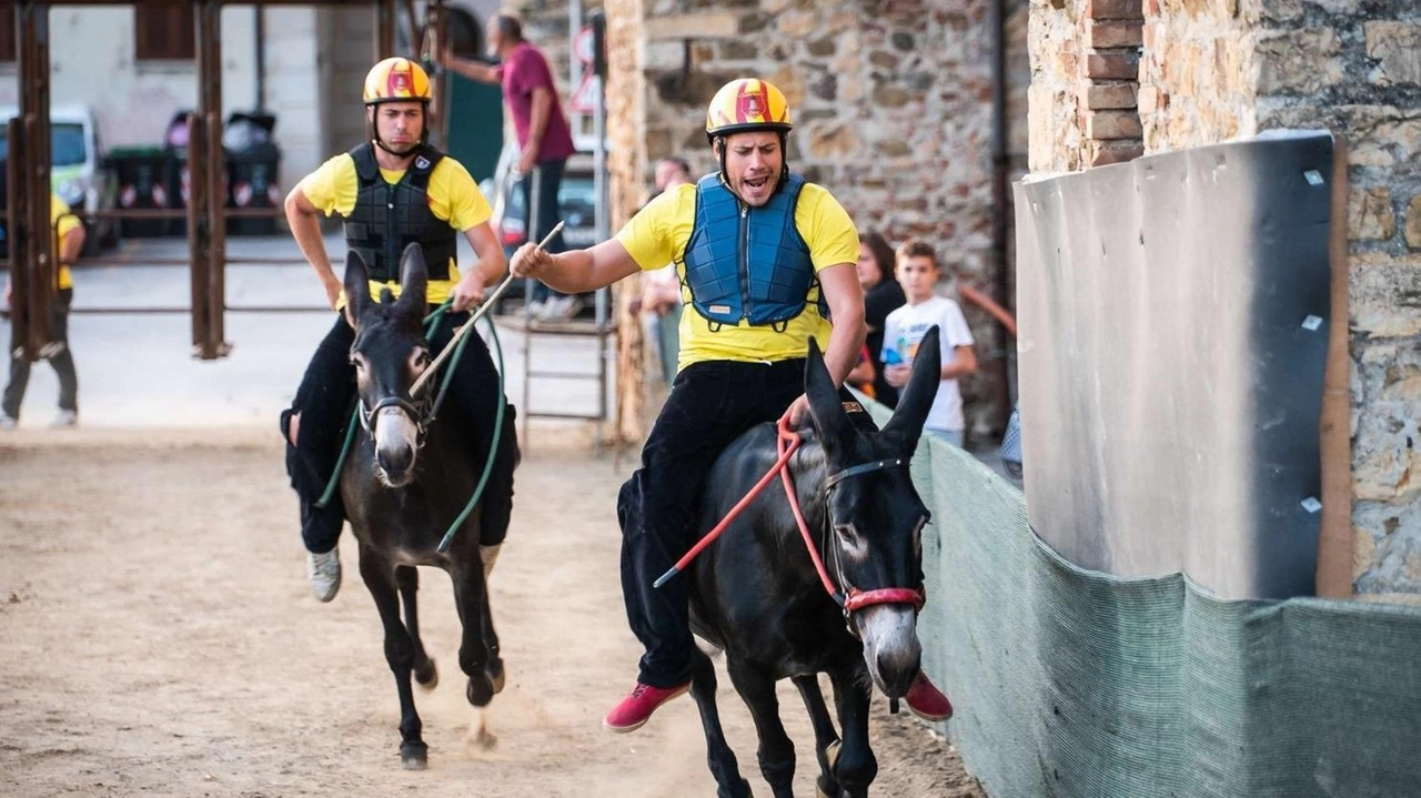 Tutto pronto per il Palio di Campagnatico, questo pomeriggio (Foto gentilmente concessa da Gabriele Pisicchio) Tutto pronto per il Palio di Campagnatico, questo pomeriggio (Foto gentilmente concessa da Gabriele Pisicchio)