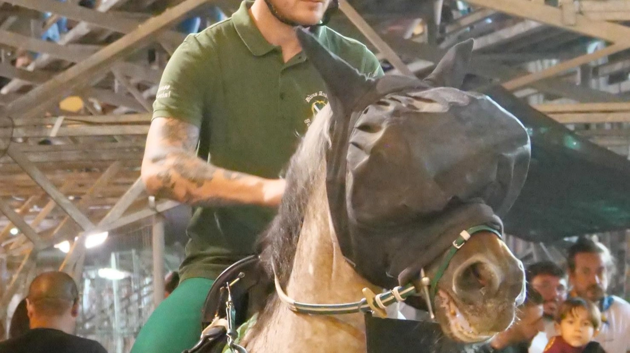 Punteggi alti per tutti ma Santo Spirito si conferma ancora davanti. Il cavallo di Marmorini indossa la maschera, fa centro anche Rossi. Punteggi alti per tutti ma Santo Spirito si conferma ancora davanti. Il cavallo di Marmorini indossa la maschera, fa centro anche Rossi.