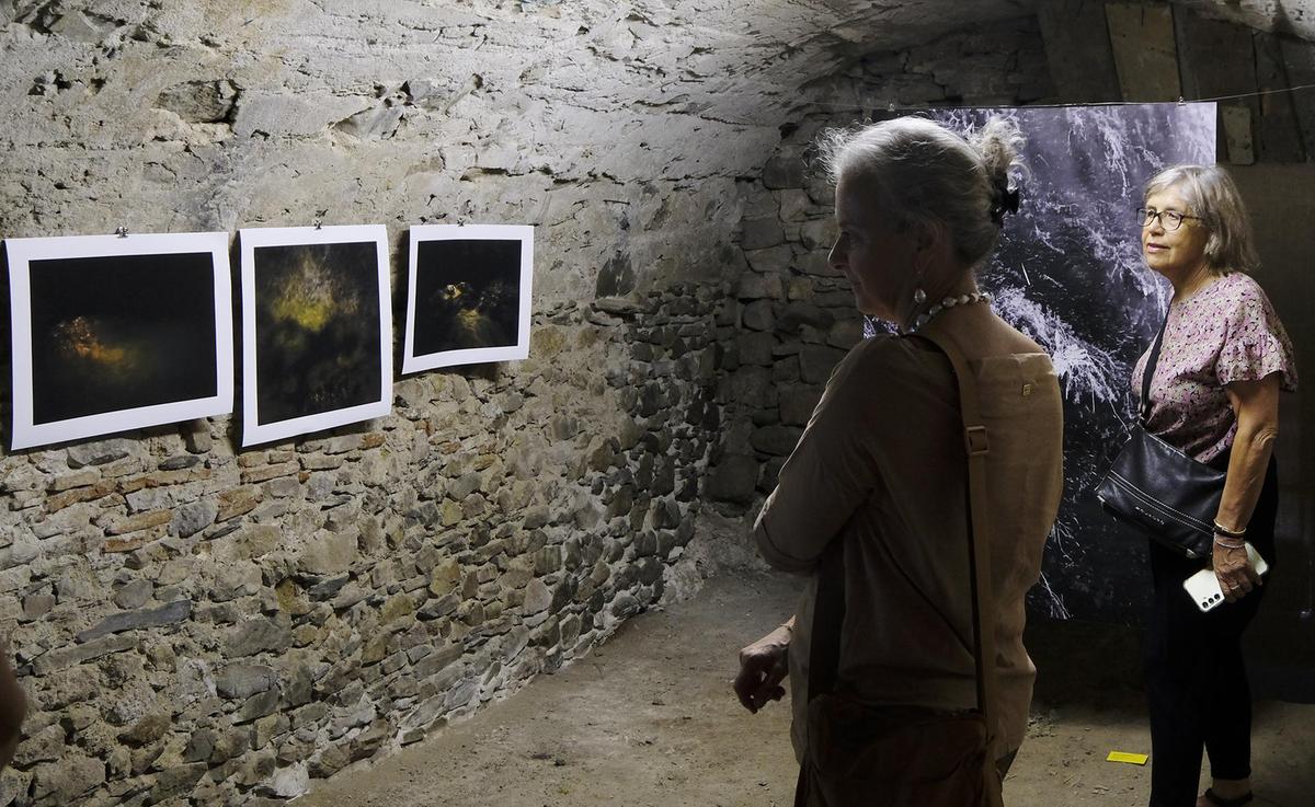 Tassonarla nel cuore: "Raccontiamo a tutti che qui il tempo si ferma. E ce ne prendiamo cura" Tassonarla nel cuore: "Raccontiamo a tutti che qui il tempo si ferma. E ce ne prendiamo cura"