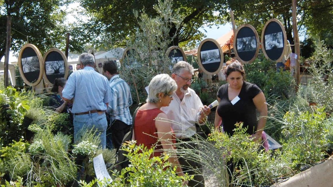 Visitatori in una delle passate edizioni di Murabilia, in programma nel prossimo primo week-end di settembre tra i baluardi e le cortine delle Mura (foto Alcide) Visitatori in una delle passate edizioni di Murabilia, in programma nel prossimo primo week-end di settembre tra i baluardi e le cortine delle Mura (foto Alcide)