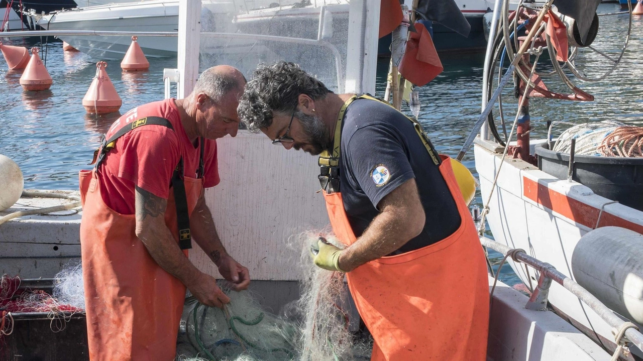 Per il 2025 la condotta Slow Food Isola del Giglio e Giannutri ha in serbo molte iniziative, a cominciare dal... Per il 2025 la condotta Slow Food Isola del Giglio e Giannutri ha in serbo molte iniziative, a cominciare dal...