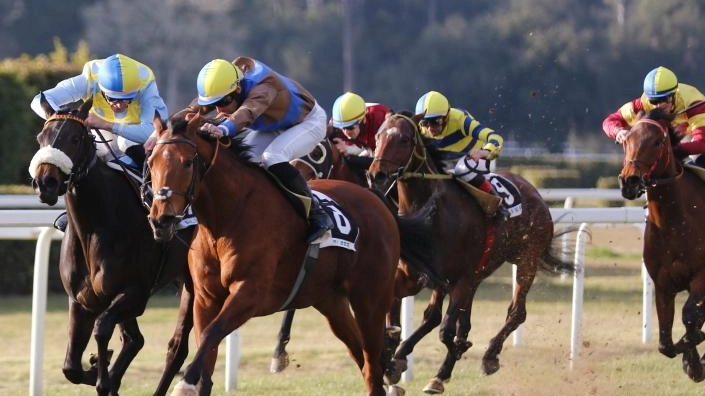Nuova giornata di corse a San Rossore Nuova giornata di corse a San Rossore