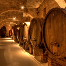 Cortona, musica e degustazioni nella nuova edizione di «Note di vino»