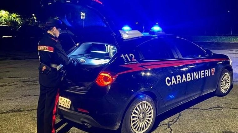 Ladri in azione nella Piana. Via trattore da 15mila euro