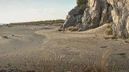 Ultimo appuntamento estivo con "Aperitivo a Collelungo", l’escursione guidata insieme alle guide del Parco della Maremma. Venerdì ritrovo alle 19... Ultimo appuntamento estivo con "Aperitivo a Collelungo", l’escursione guidata insieme alle guide del Parco della Maremma. Venerdì ritrovo alle 19...
