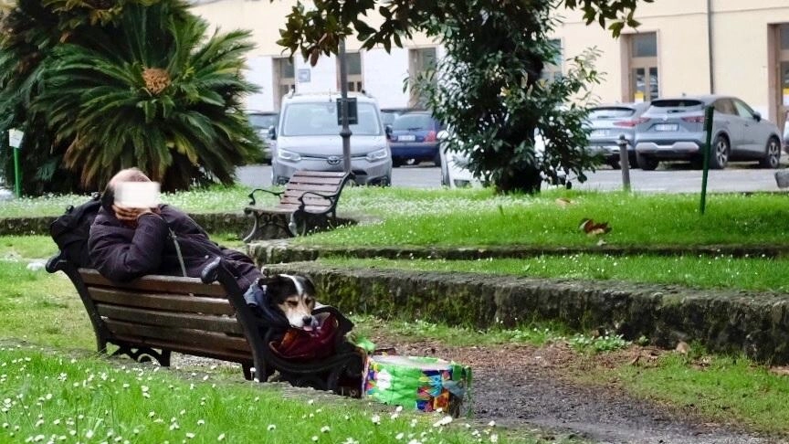 I giardini di piazza Jurgens di fronte alla stazione ferroviaria di Sarzana I giardini di piazza Jurgens di fronte alla stazione ferroviaria di Sarzana