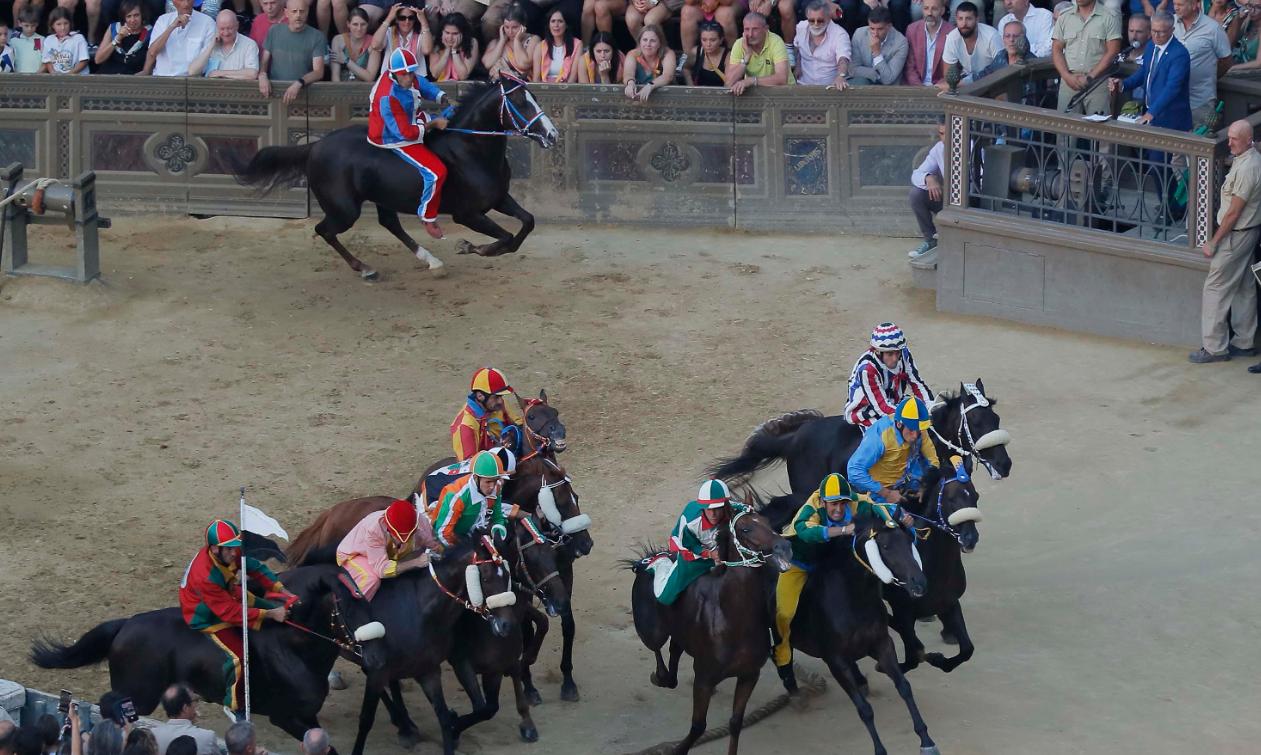 Palio, chi ha vinto negli ultimi 10 anni? L’albo d’oro, i successi e le sconfitte