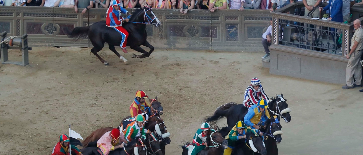 Palio, chi ha vinto negli ultimi 10 anni? L’albo d’oro, i successi e le sconfitte