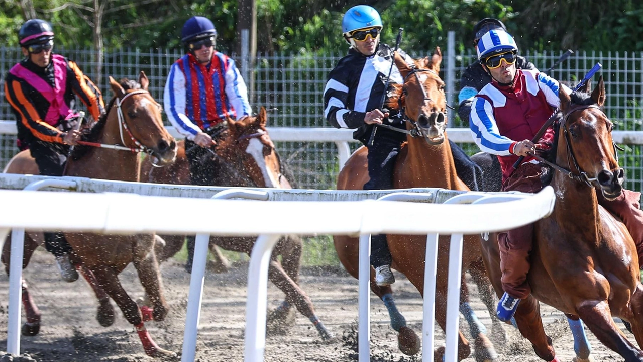 Corse di primavera, un successo. È la prima prova verso il Palio. Ecco fantini e cavalli in evidenza