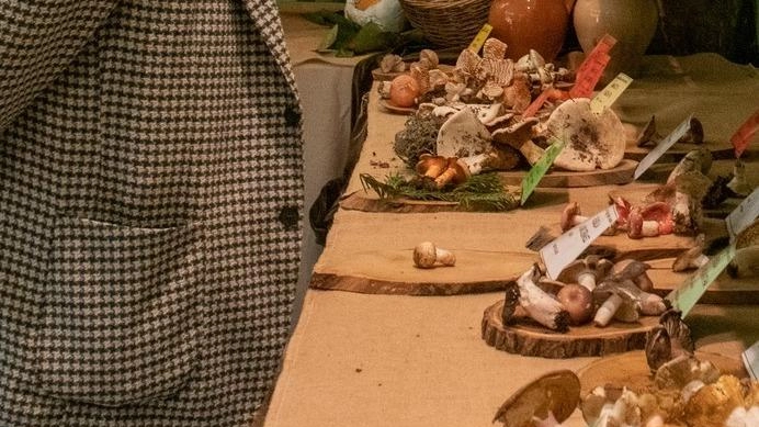 La «Sagra del fungo» di Bagnolo viene organizzata soltanto se ci sono prodotti locali La «Sagra del fungo» di Bagnolo viene organizzata soltanto se ci sono prodotti locali