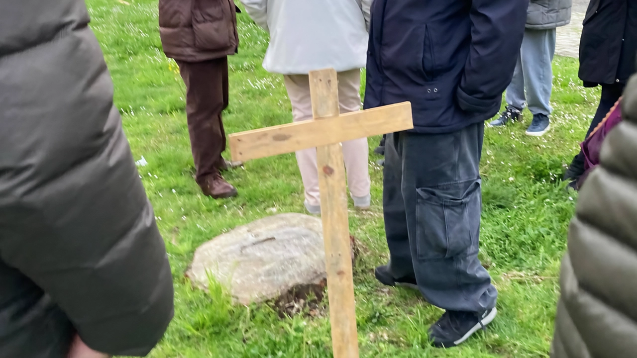 Undici croci piantate dove c’erano undici alberi (pini e lecci) che furono abbattuti dal Comune per il progetto Pnrr di...