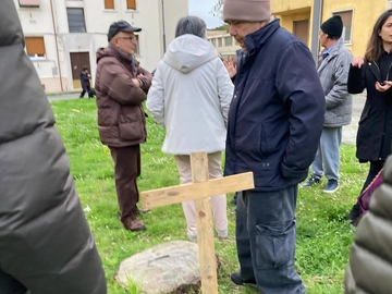 immagine articolo