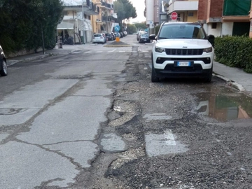 immagine articolo