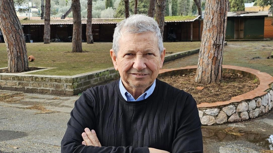 La giunta guidata dal sindaco Arturo Cerulli ha introdotto la Ztl per tre ore al giorno nella zona della Pilarella La giunta guidata dal sindaco Arturo Cerulli ha introdotto la Ztl per tre ore al giorno nella zona della Pilarella