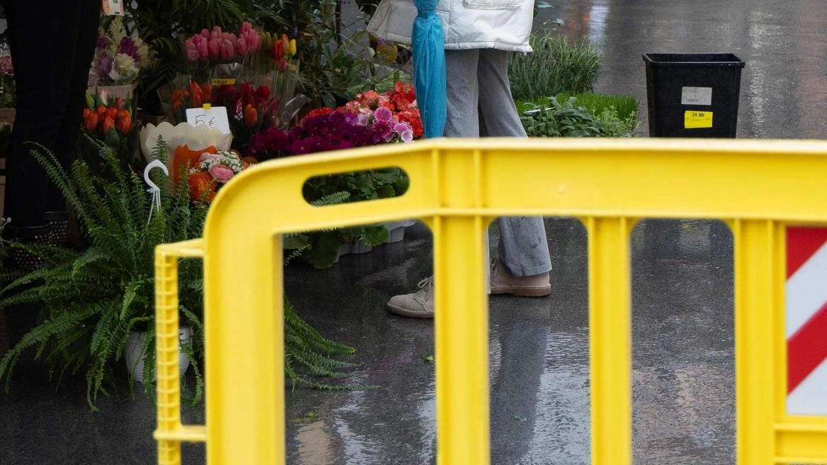 Il futuro dei banchi di via San Martino, Confcommercio: "Ok al riassetto". I commercianti: "Caos parcheggi" Il futuro dei banchi di via San Martino, Confcommercio: "Ok al riassetto". I commercianti: "Caos parcheggi"