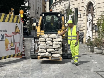 immagine articolo