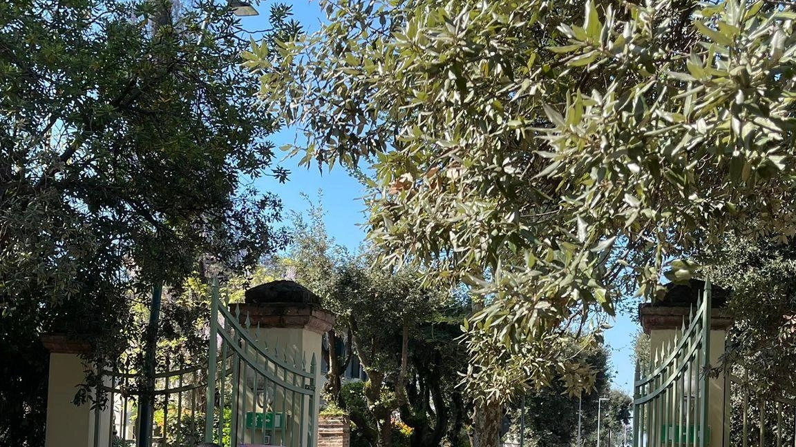 L’iniziativa è già andata in scena in Versilia L’iniziativa è già andata in scena in Versilia