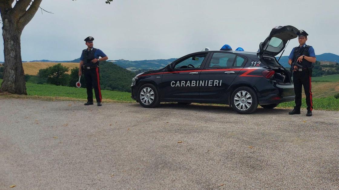 Al distributore con la coca. Giovane finisce nella rete Al distributore con la coca. Giovane finisce nella rete