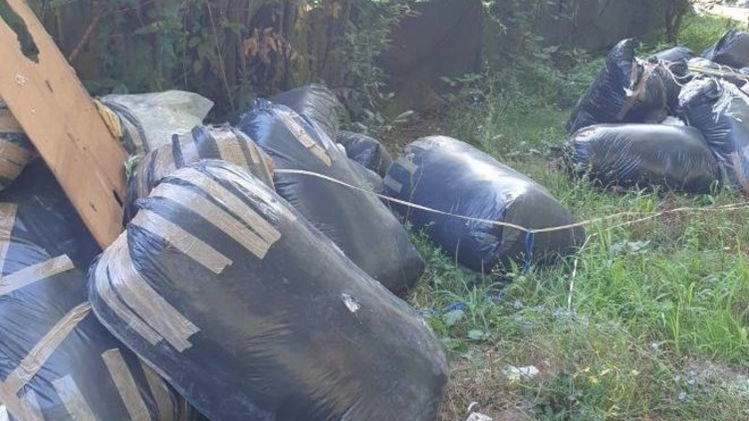I sacchi neri abbandonati nel parco del Bargo nella notte fra lunedì e martedì I sacchi neri abbandonati nel parco del Bargo nella notte fra lunedì e martedì