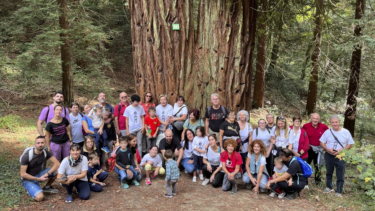 Visitatori di fronte alla sequoia di Sammezzano, una vera meraviglia. E' la più alta d'Italia Visitatori di fronte alla sequoia di Sammezzano, una vera meraviglia. E' la più alta d'Italia