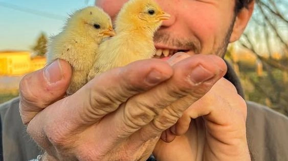 Con le loro storie “verdi” hanno contagiato centinaia di migliaia di persone con la loro passione per fiori e piante...