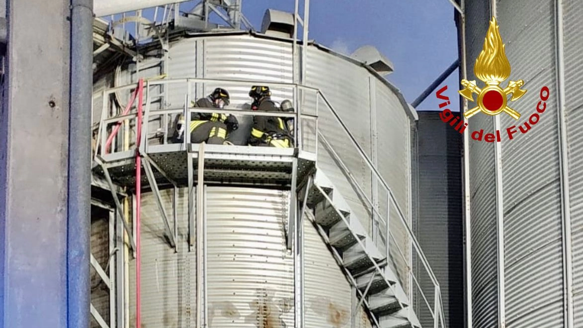 I vigili del fuoco intervenuti