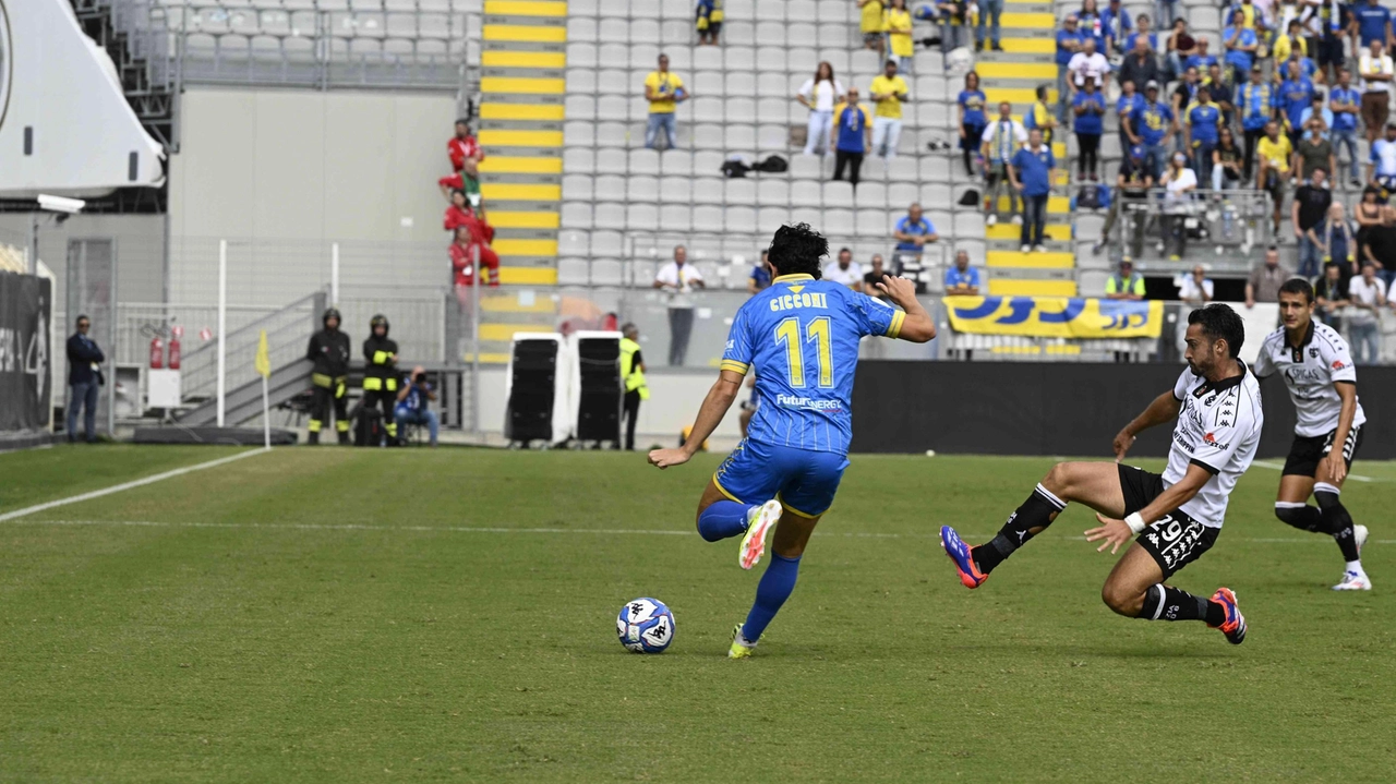 Il vecchio prato sintetico dello stadio ha un nuovo padrone, anzi dei nuovi padroni. Sono venti i soggetti che si... Il vecchio prato sintetico dello stadio ha un nuovo padrone, anzi dei nuovi padroni. Sono venti i soggetti che si...