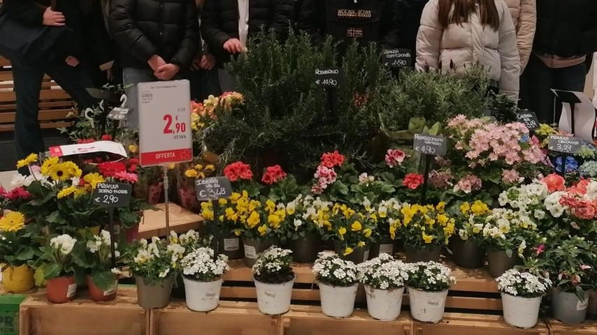 Una foto della classe terza E dalla ’Staffetti’ con Sergio Andreoni nello Store di Pietrasanta