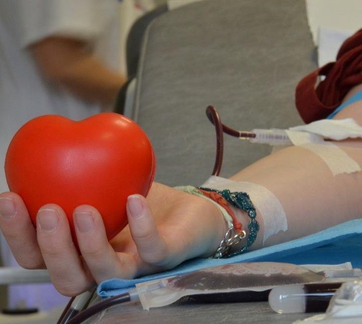 West Nile, nessun allarme. Donazioni di sangue sicure