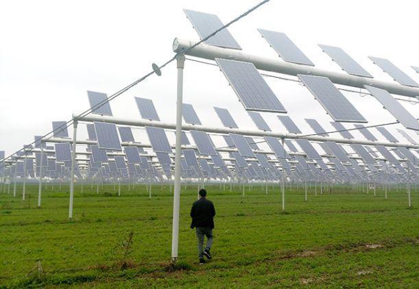 Impianto agrivoltaico: "Nessun progetto è arrivato in Comune"