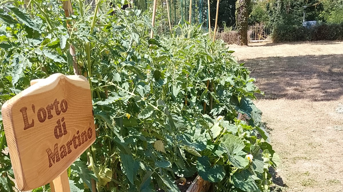 L'orto di Martino