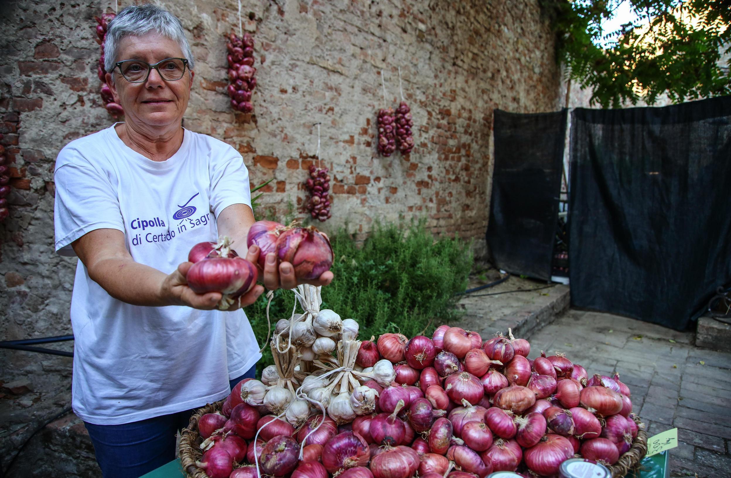 La rinascita della cipolla. Presentato il piano del presidio Slow Food: "Un ritorno importante" La rinascita della cipolla. Presentato il piano del presidio Slow Food: "Un ritorno importante"