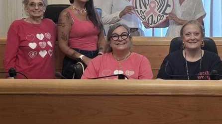 https://www.lanazione.it/image-service/view/acePublic/alias/contentid/YzAwNTNlMWYtMjlkZi00/0/solidarieta-in-laguna-insieme-in-rosa-aiuta-lospedale.jpeg?f=16:9&w=1200&h=630