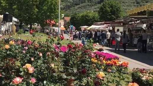 Lo spettacolo «primaverile» della Mostra agrozootecnica ’Ambiente e Turismo’ che apre la stagione massarosese Lo spettacolo «primaverile» della Mostra agrozootecnica ’Ambiente e Turismo’ che apre la stagione massarosese